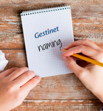 Posicionament google