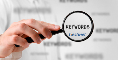 Posicionament google