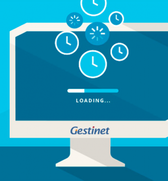 Posicionament google