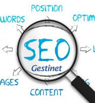 Posicionament google