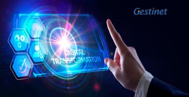 servicios informáticos