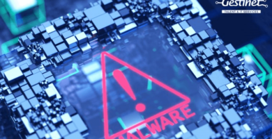 EMPRESA DE MANTENIMENT INFORMÀTIC