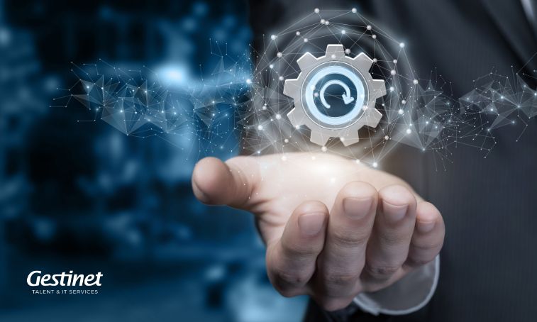 MANTENIMENT DE PÀGINES WEB