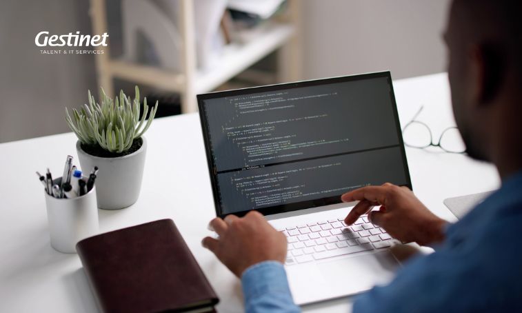 Manteniment de pàgina web