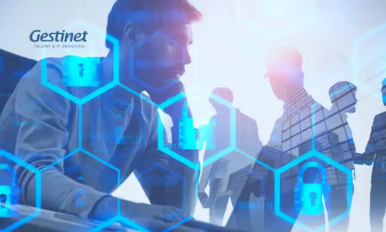 Empresa especialitzada en realitzar auditories de ciberseguretat