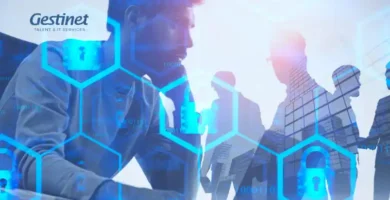 Empresa especializada en proporcionar auditorías de ciberseguridad